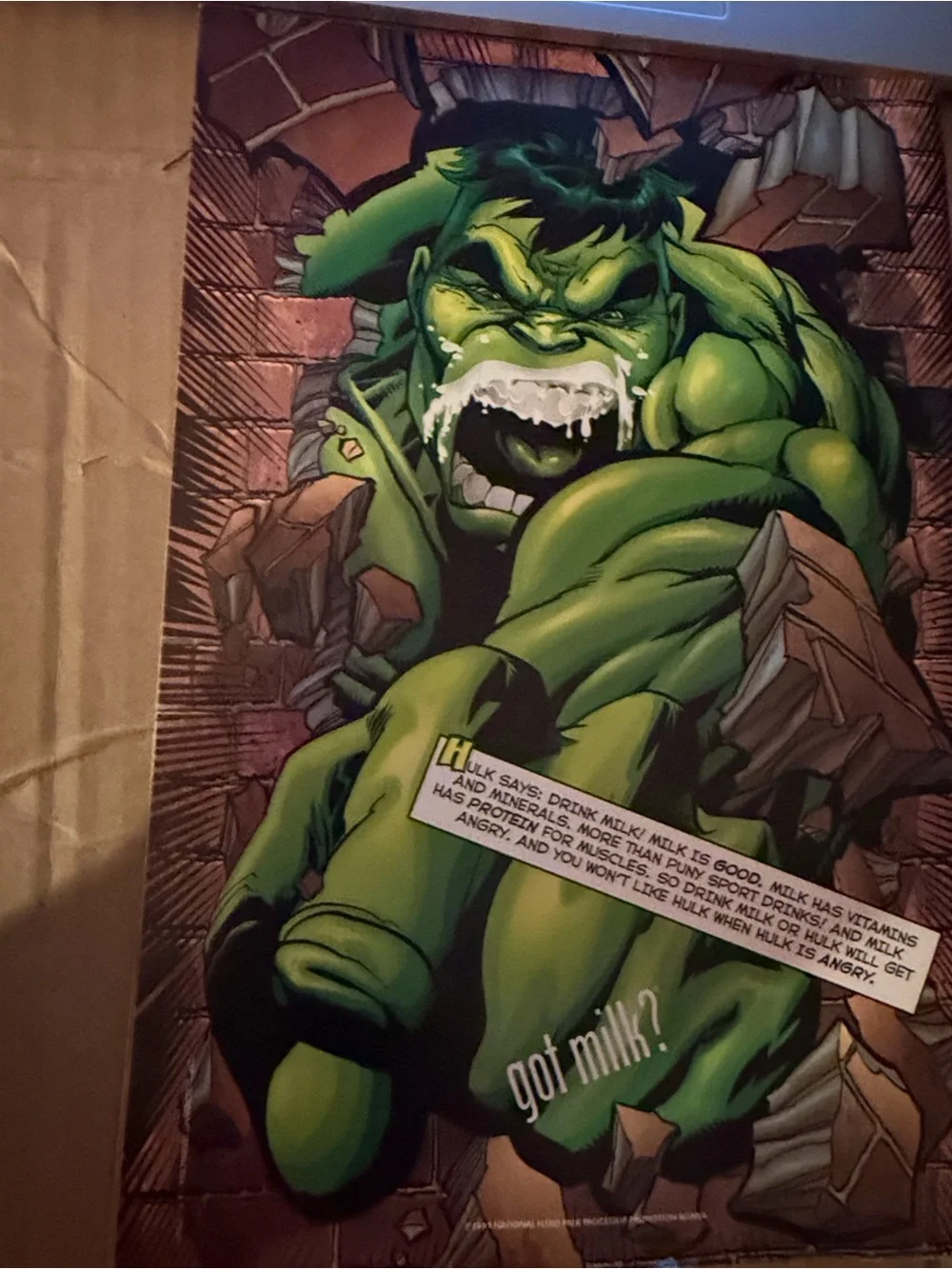 Marvel The Incredible Hulk #7 & The Amazing Spider-Man #10 Comic Books 1999 Dire